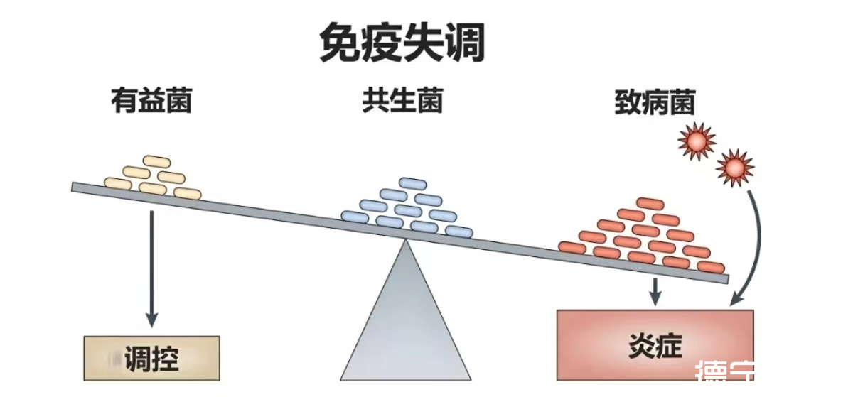 微信图片_20250424134956 微信图片_20250424134956