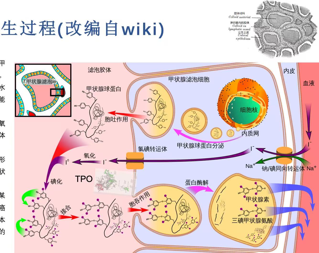 微信图片_20250711145707 微信图片_20250711145707